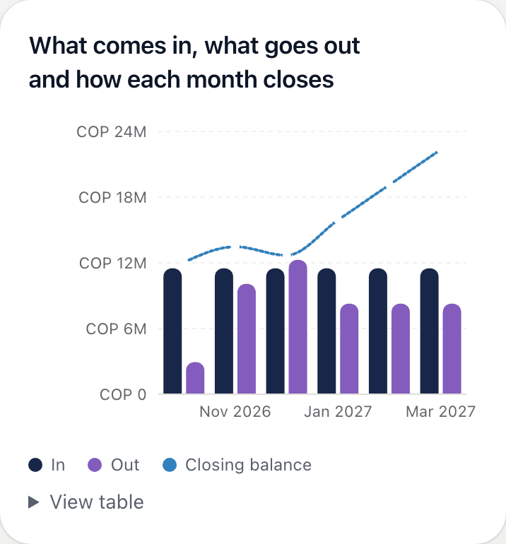 Financial health cash flow chart: what comes in, what goes out and the closing balance for the coming months, with sample data